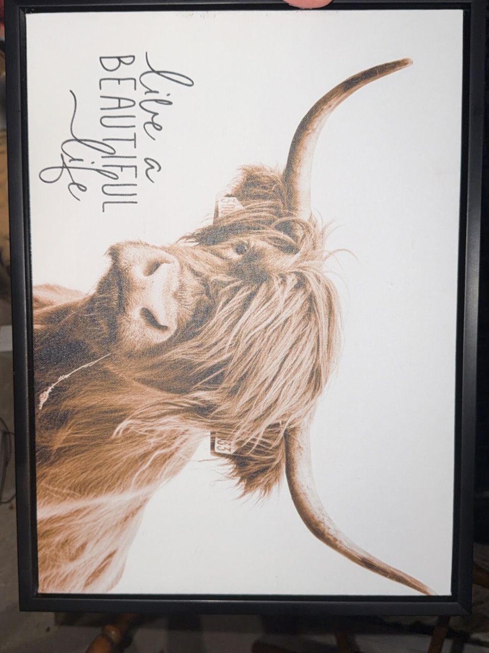 Highland Cow Wall Art Print in Brown and Cream